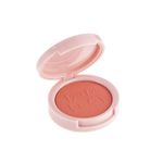 Blush-Cushion-Matte-Bruna-Tavares-BT-Color-Hibisco-5-g