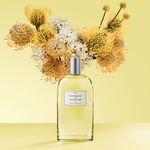 Perfume-Victorio---Lucchino-Magnolia-Sensual-Feminino-Eau-de-Toilette-150-ml-