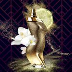Perfume-Shakira-Dance-Midnight-Feminino-Eau-de-Toilette-80-ml