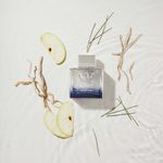 Perfume-Antonio-Banderas-King-of-Seduction-Masculino-Eau-de-Toilette-100-ml