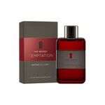 Perfume-Antonio-Banderas-The-Secret-Temptation-Masculino-Eau-de-Toilette-100-ml