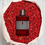 Perfume-Antonio-Banderas-The-Secret-Temptation-Masculino-Eau-de-Toilette-50-ml