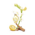 Perfume-Nina-Ricci-L’Air-Du-Temps-Edicao-Limitada-Feminino-Eau-de-Parfum-50-ml