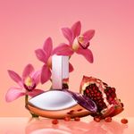 Perfume-Calvin-Klein-Euphoria-Feminino-Eau-de-Parfum-100-ml