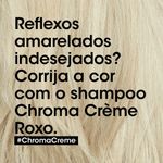 Shampoo-L-Oreal-Professionnel-Serie-Expert-Chroma-Creme-Purple-Dyes-300-ml-