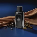 Perfume-Antonio-Banderas-The-Icon-Eau-de-Parfum-Masculino-100-ml-Familia-Olfativa
