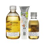 Kit-Davines-Authentic-Shampoo-280-ml-Condicionador-150-ml-Oleo-140-ml-Vitrine