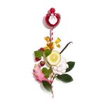 Perfume-Nina-Ricci-Les-Sorbets-Rouge-Feminino-Eau-de-Toilette-50-ml-Notas