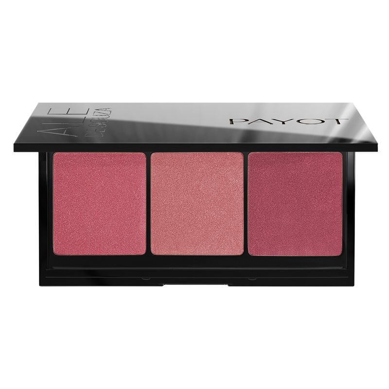 Paleta-de-Blush-Payot-Ale-de-Souza-12-g-Vitrine