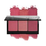 Paleta-de-Blush-Payot-Ale-de-Souza-12-g-Textura