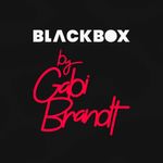 Black-Box-Surpresa---Gabi-Brandt