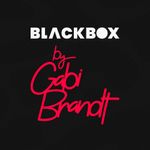 Black-Box-Surpresa---Gabi-Brandt-Vitrine