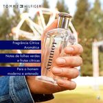 Perfume-Tommy-Hilfiger-Masculino-Eau-de-Toilette-30-ml-Notas