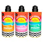 Kit-Lola-Ela-E-Carioca---Proteina-3-Em-1--500-G---Shampoo-500-Ml---Condicionador-500-G-Vitrine