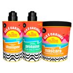 Kit-Lola-Ela-E-Carioca---Proteina-3-Em-1-500-G---Shampoo-500-Ml---Mascara-450-G-Vitrine