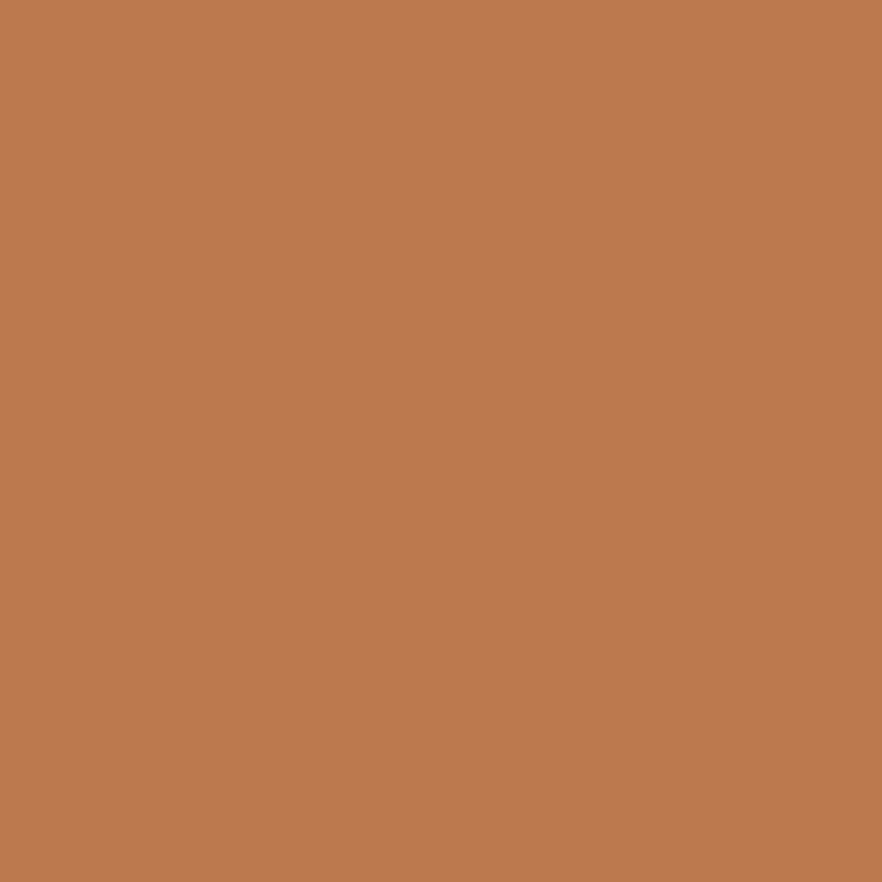 Protetor-Solar-Facial-Matte-Australian-Gold-Cor-03-FPS-60-40-g-Cor