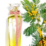 Perfume-Adolfo-Dominguez-Agua-Fresca-Mimosa-Coriandro-Feminino-Eau-de-Toilette-120-ml-Ambientada