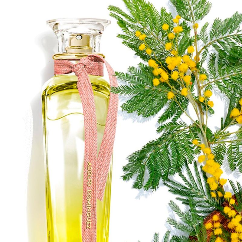 Perfume-Adolfo-Dominguez-Agua-Fresca-Mimosa-Coriandro-Feminino-Eau-de-Toilette-120-ml-Ambientada