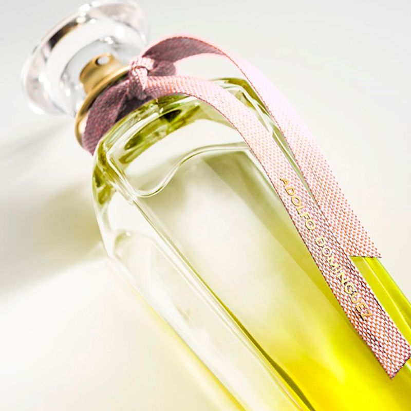 Perfume-Adolfo-Dominguez-Agua-Fresca-Mimosa-Coriandro-Feminino-Eau-de-Toilette-120-ml-Ambientada-1