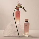 Perfume-Adolfo-Dominguez-Terracota-Musk-Feminino-Eau-de-Parfum-120-ml-Ambientada