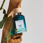 Perfume-Adolfo-Dominguez-Agua-Fresca-Citrus-Cedro-Masculino-Eau-de-Toilette-120-ml-Ambientada