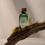 Perfume-Adolfo-Dominguez-Vetiver-Terra-Masculino-Eau-de-Parfum-120-ml-Ambientada