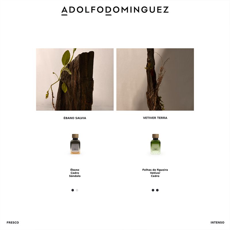 Perfume-Adolfo-Dominguez-Vetiver-Terra-Masculino-Eau-de-Parfum-120-ml-Fragrancias