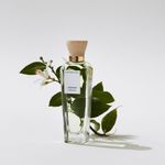 Perfume-Adolfo-Dominguez-Agua-Fresca-de-Azahar-Feminino-Eau-de-Toilette-120-ml-Elementos