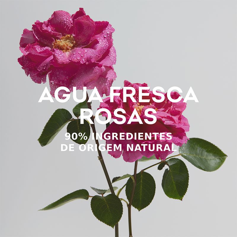 Perfume-Adolfo-Dominguez-Agua-Fresca-de-Rosas-Feminino-Eau-de-Toilette-120-ml-Elementos-1