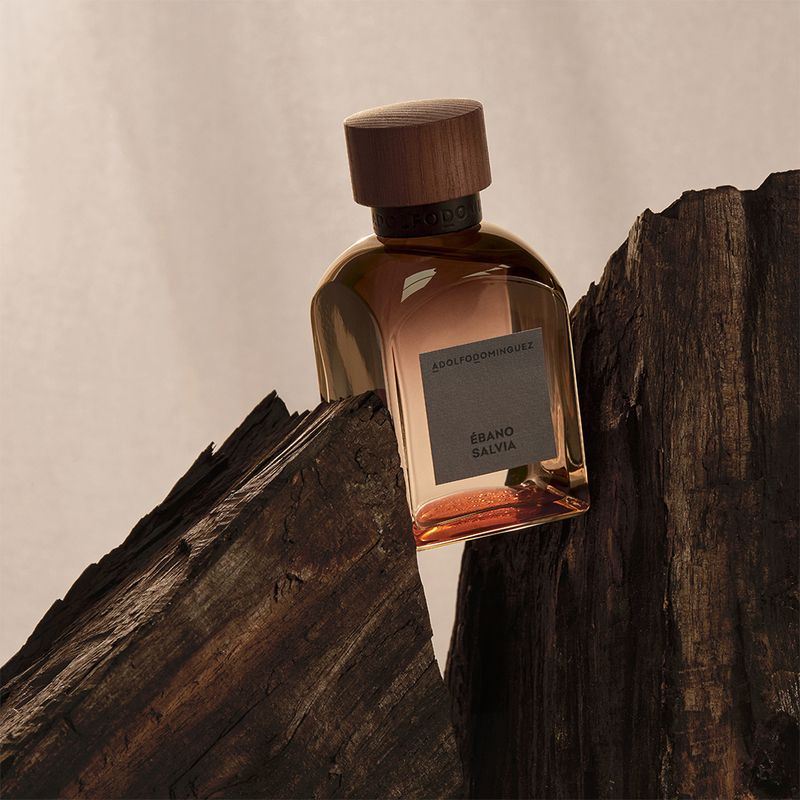 Perfume-Adolfo-Dominguez-Ebano-Salvia-Masculino-Eau-de-Parfum-120-ml-Elementos