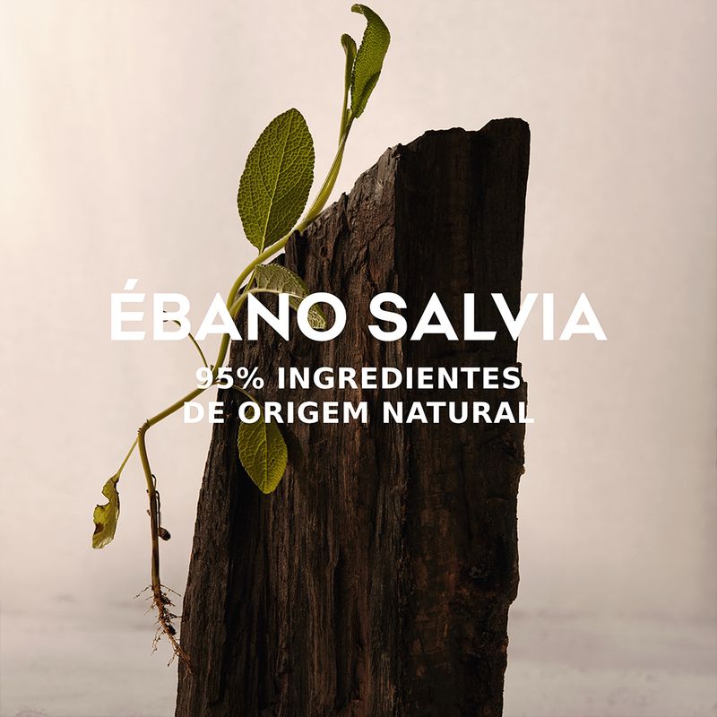 Perfume-Adolfo-Dominguez-Ebano-Salvia-Masculino-Eau-de-Parfum-120-ml-Elementos-1
