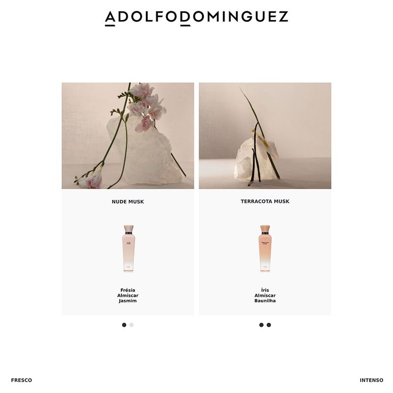 Perfume-Adolfo-Dominguez-Terracota-Musk-Feminino-Eau-de-Parfum-120-ml-Familia