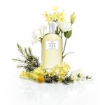 Perfume-Victorio---Lucchino-Azahar-Radiante-Feminino-Eau-de-Toilette-150-ml-Elementos-