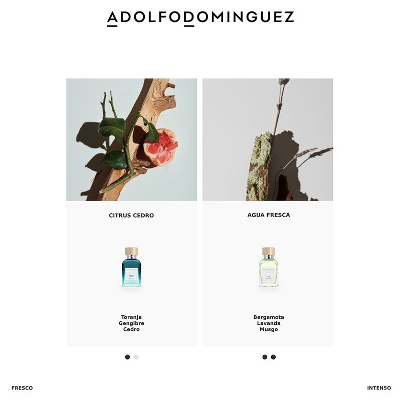 Perfume-Adolfo-Dominguez-Agua-Fresca-Masculino-Eau-de-Toilette-120-ml-Familia