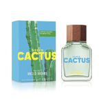 BENETTON-UNITED-DREAMS-GREEN-HIM-CACTUS-EDT-PERF-MASC-100ML