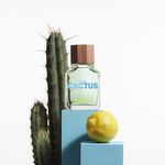 BENETTON-UNITED-DREAMS-GREEN-HIM-CACTUS-EDT-PERF-MASC-100ML