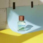 BENETTON-UNITED-DREAMS-GREEN-HIM-CACTUS-EDT-PERF-MASC-100ML