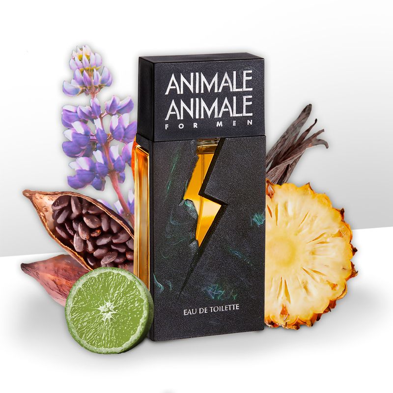 Perfume-Animale-a-For-Men-Masculino-Eau-de-Toilette-100-ml-Notas