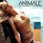 Perfume-Animale-For-Women-Feminino-Eau-de-Parfum-30-ml-Banner