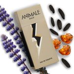 Perfume-Animale-Gold-Masculino-Eau-de-Toilette-100-ml-Notas