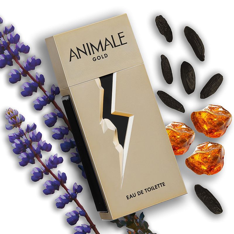 Perfume-Animale-Gold-Masculino-Eau-de-Toilette-100-ml-Notas
