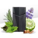 Perfume-Animale-Seduction-Homme-Masculino-Eau-de-Toilette-100-ml-Notas