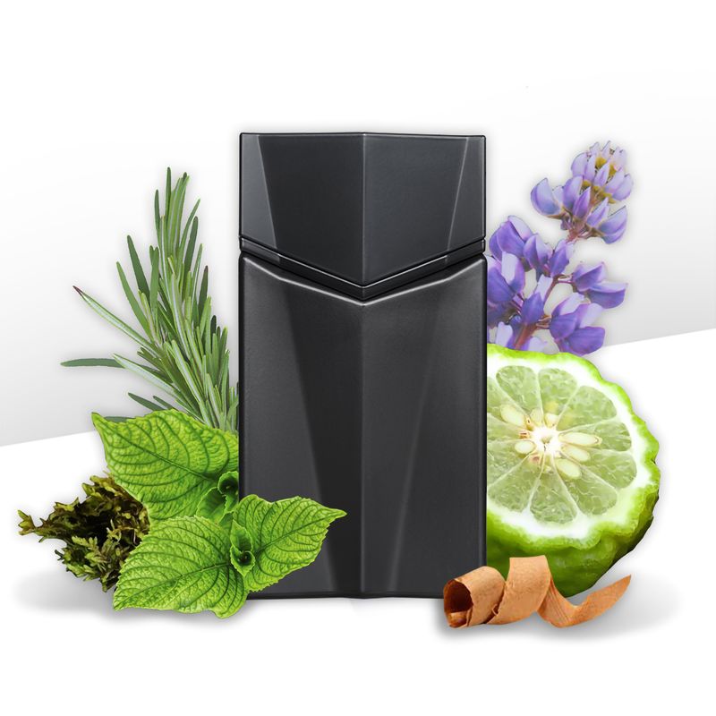 Perfume-Animale-Seduction-Homme-Masculino-Eau-de-Toilette-100-ml-Notas