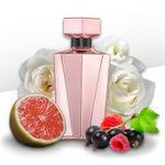 Perfume-Animale-Seduction-Femme-Feminino-Eau-de-Parfum-100-ml-Notas