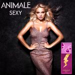 Perfume-Animale-Sexy-Feminino-Eau-de-Parfum-100-ml-Banner