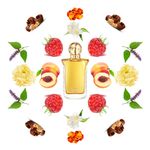 Perfume-Marina-de-Bourbon-Symbol-Royal-Feminino-Eau-de-Parfum-30-ml-Notas