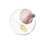 Perfume-Clinique-Aromatics-Elixir-Feminino-Eau-de-Parfum-100-ml-Ativos-Principais