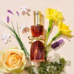 Perfume-Estee-Lauder-Youth-Dew-Feminino-Eau-de-Parfum-67-ml-Ambientada