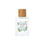 Perfume-Colabo-Chypre-Unissex-Eau-de-Parfum-100-ml-Vitrine