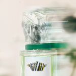Perfume-Sisley-L-eau-Revee-d-Alma-Unissex-Eau-de-Toilette-50-ml-Detalhe